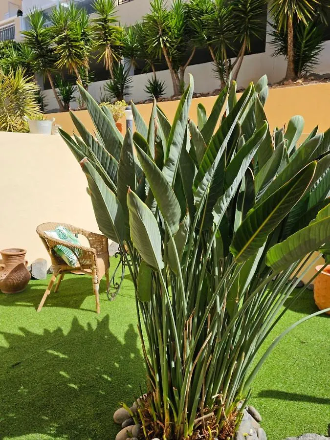 New Holiday Home Beautiful Sea View With Aircon, Costa Adeje Costa Adeje  Spain